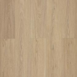 Дуб Апшерон CC006