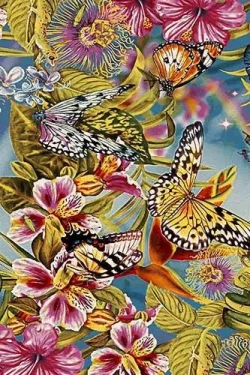 C015 MULTICOLOR