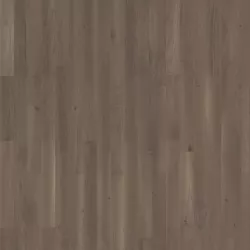 Дуб Графит