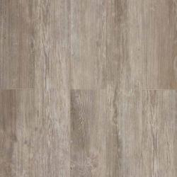 Сосна Аризона CC009