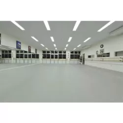 Спортивный  линолеум Sportfloor Dance 04