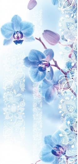 Голубая орхидея 0156