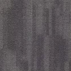 Coral 5407