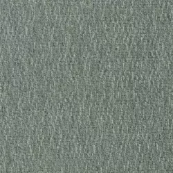 Carpet 2854
