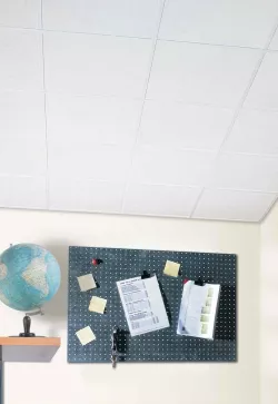Scala board 600*600