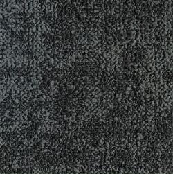 Arid Land 601507