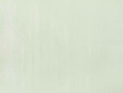 Elysium Эвкалипт 908610