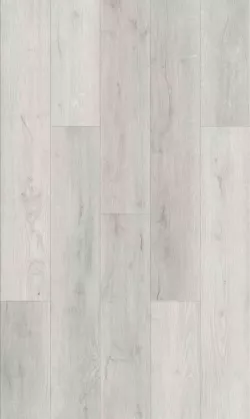 Дуб Лаурия V113