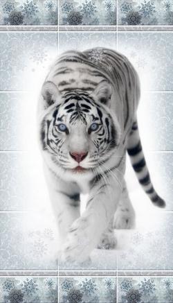 Зимняя сказка Тигр