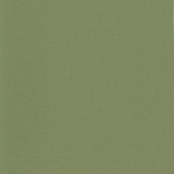 линолеум 107-036 sage green