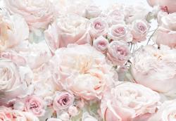 8-976 Spring Roses