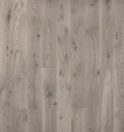 Дуб Антарес масло