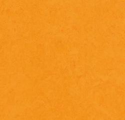 линолеум Fresco 2,5 3262 marigold