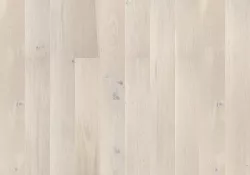 Дуб Gentle