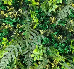 Искусственная трава модульная A-175 Ferns 50*50 см