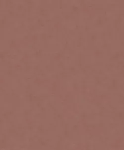 Shades 32430