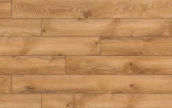 Дуб Глазго 54753 33 класс 8мм