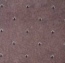 Palace 49