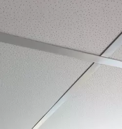 Scala board 600*600