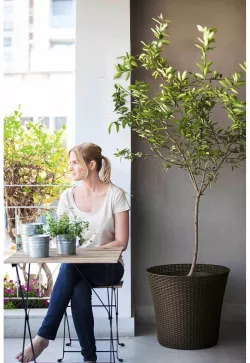 Кашпо Conic Planter