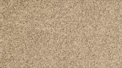 Cayene Elite 72