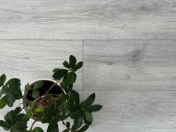 Дуб Писсаро AQ-19