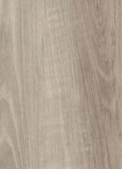 3101 CASHMERE OAK