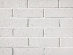 Кирпич фасадный 1-00-00