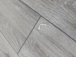 Дуб Франклин AQ-20