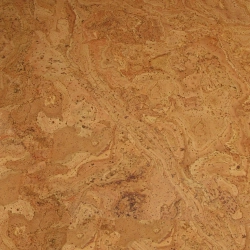 CM3 310v NN