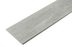Platinum 01006