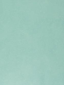 Коммерческий  линолеум Emerald Standart 72408