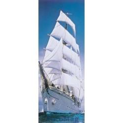 2-1017 Sailing Boat