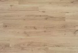 Дуб Тюльпан 62000210 (3354) 32 класс 8мм