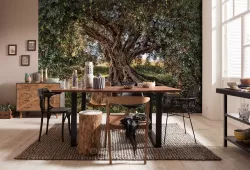 8-531 Olive Tree
