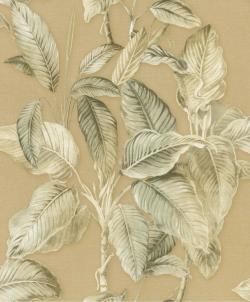 Back to Nature 571479