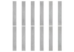 Silver 01002