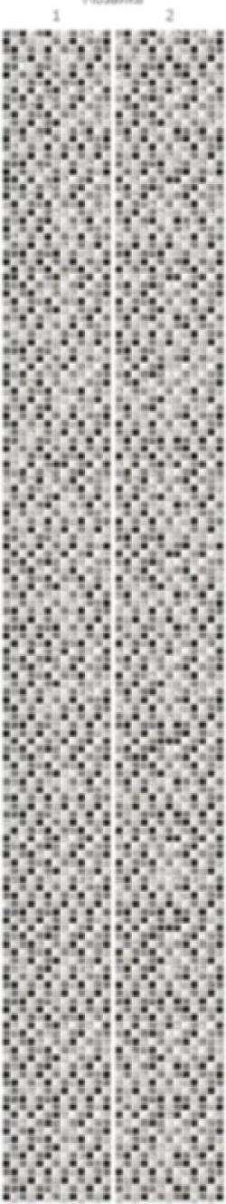 Магна мозаика