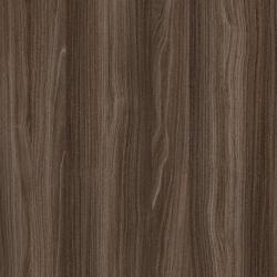 Дерево Wyoming maple mocca