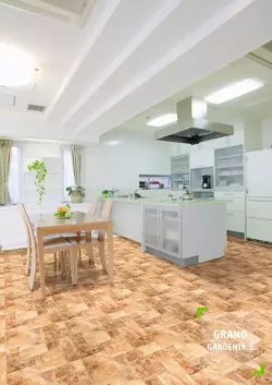 Бытовой  линолеум Гардения 1