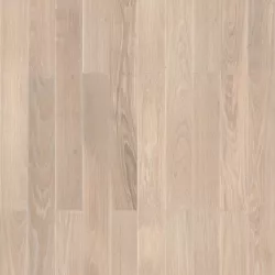 Дуб Буран