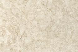 Elysium Орион 99901