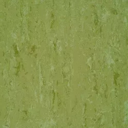 линолеум 151-011 avocado green