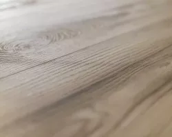 100 ASP Ясень Соренто
