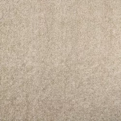 Milan 2