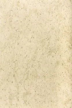 Анталия фисташковая 913601 S