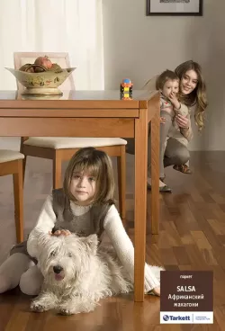 Африканский Махагони