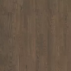 Дуб Бронзит