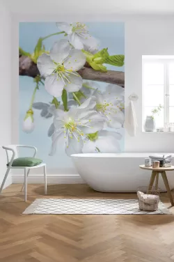 XXL2-033 Blossom