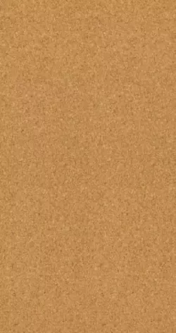 Basic Mind BJ 01041 М